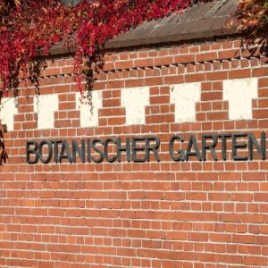 Botanischer Garten Dahlem