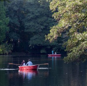 Neuer See Tiergarten