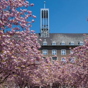 Rathaus Tiergarten Moabit